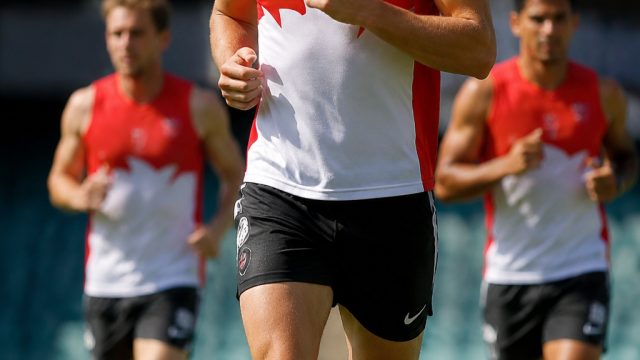 Sydney Swans Gear Up for Vital Match with Errol Gulden's Return