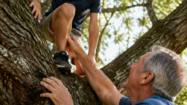 The Joy of Climbing Trees: A Day with My Grandson